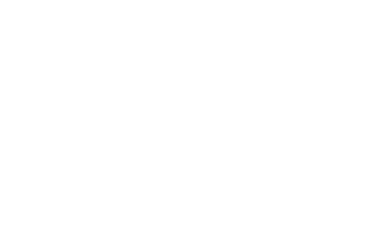 PROJECT OUTLINE #4 ASSET QUALITY