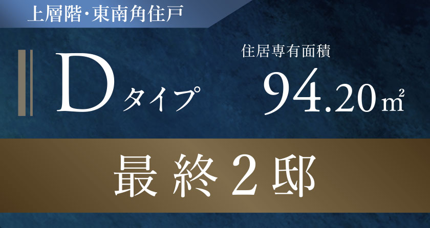 Dタイプ