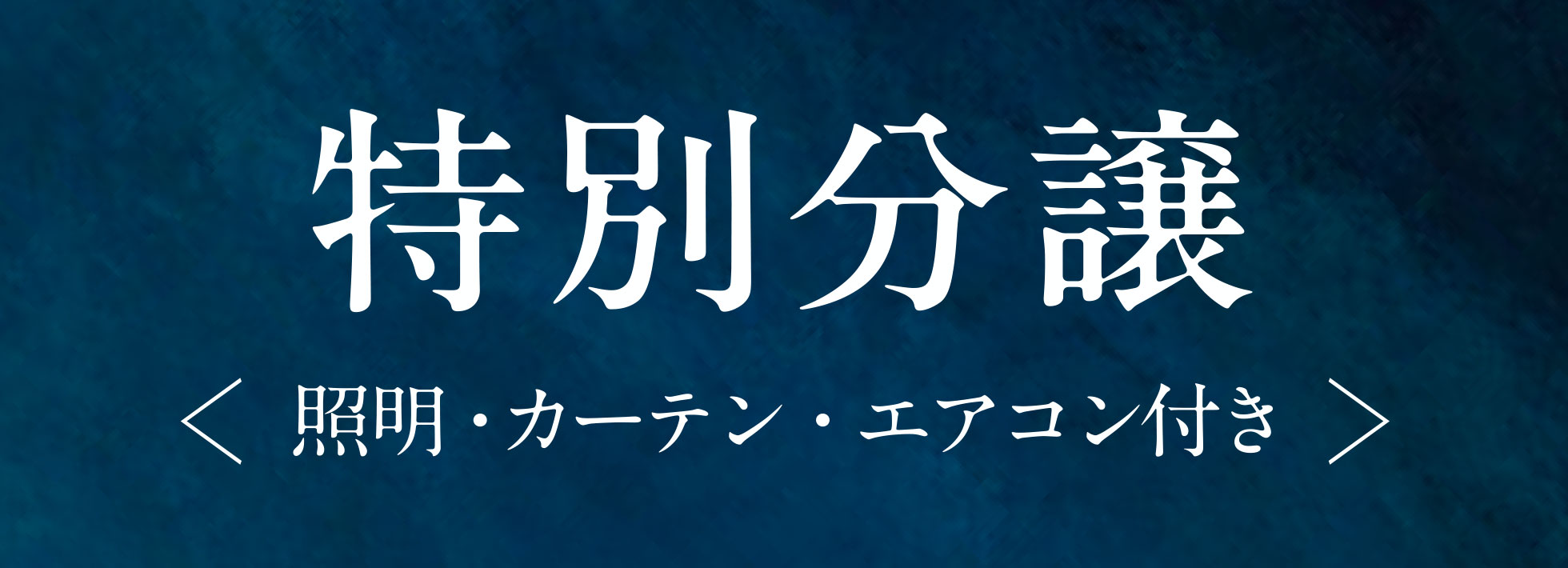 特別分譲