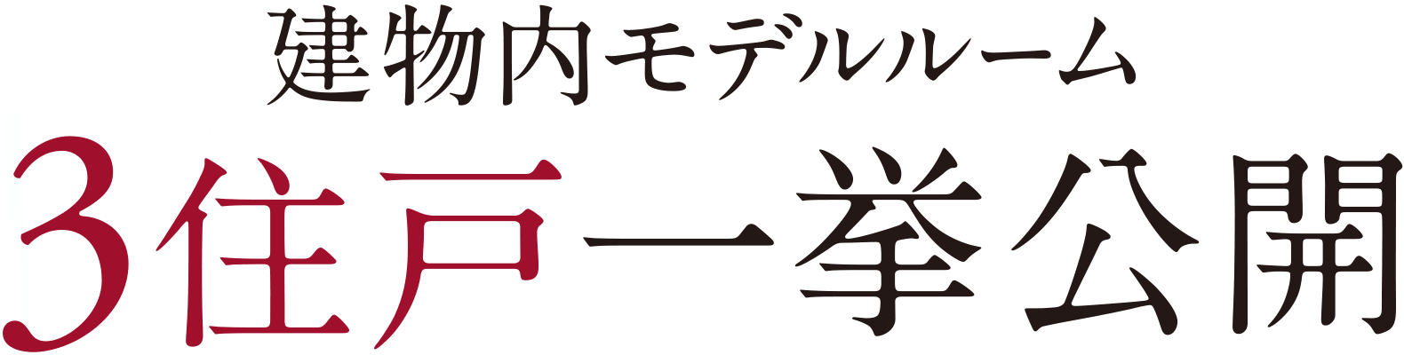 建物内モデルルーム 3住戸一挙公開