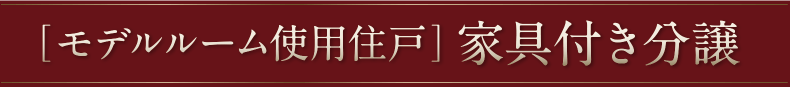 ［モデルルーム使用住戸］家具付き分譲
