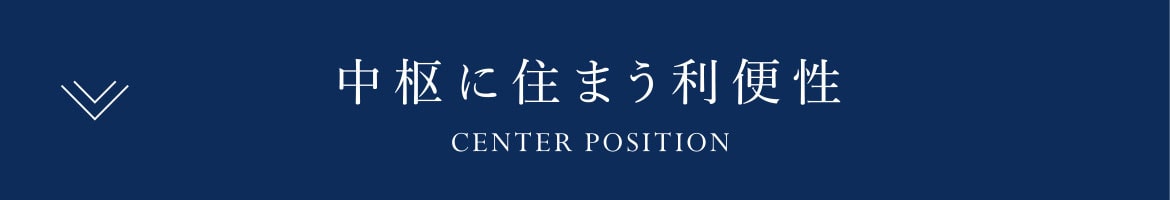 中枢に住まう利便性