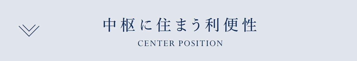 中枢に住まう利便性