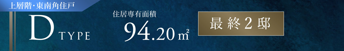 Dタイプ