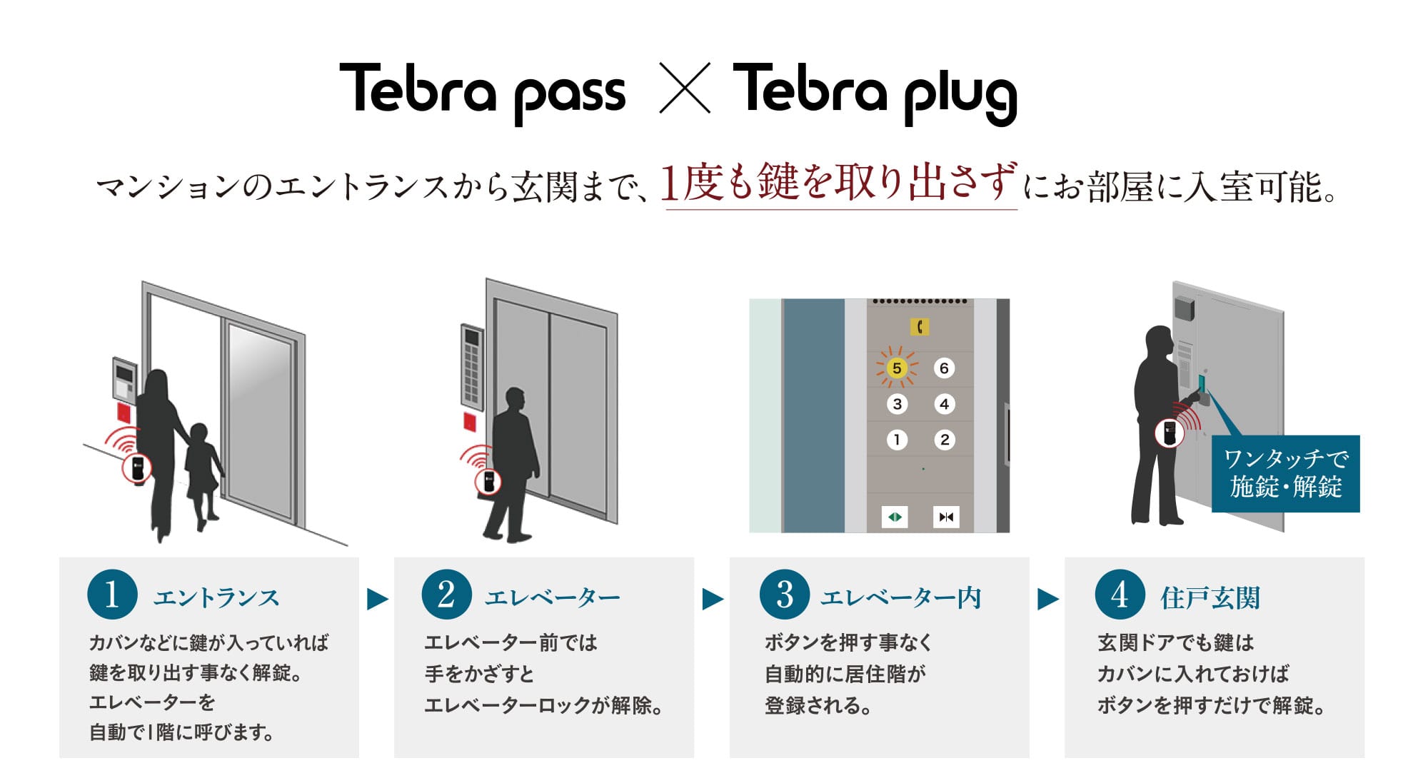 Tebra pass × Tebra plug